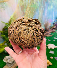 Load image into Gallery viewer, Crystal Bloom Intention Plant