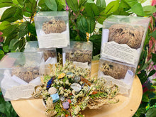 Load image into Gallery viewer, Crystal Bloom Intention Plant